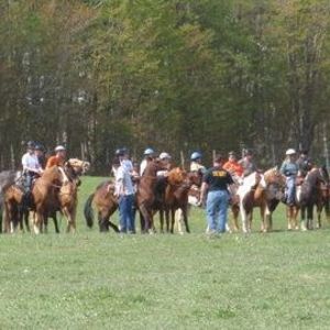 Meet your Posher, Raven